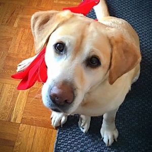 Meet your Posher, Laura